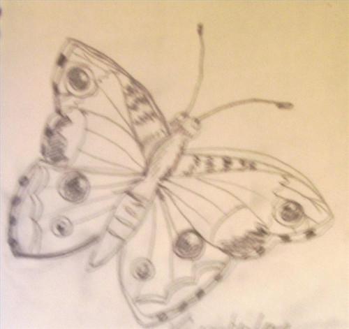 Come disegnare farfalle