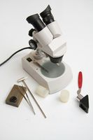 Come stimare la dimensione di un campione con un microscopio
