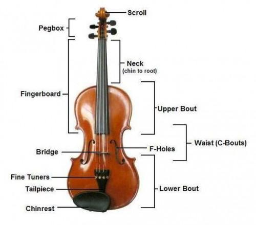 Che tipo di violini ci sono?