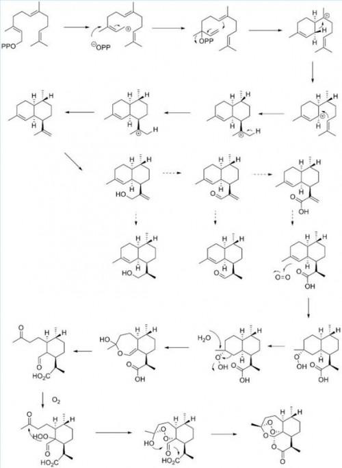 Qual è la struttura chimica di artemisinina?