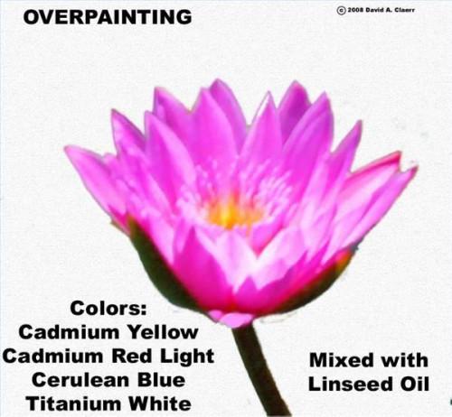 Come dipingere i fiori in olio