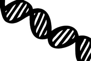 Quali sono i due tipi di acidi nucleici?