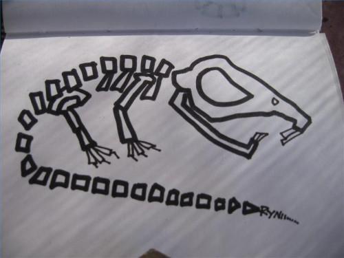 Come disegnare uno scheletro di ratto