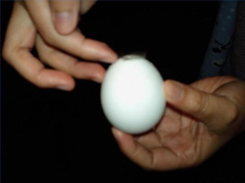 Come fare un uovo di coriandoli