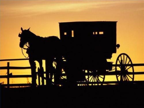 Come guidare un cavallo dei Amish e Buggy