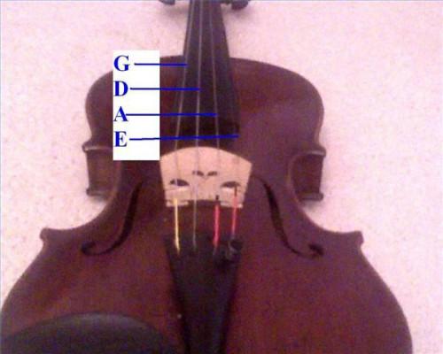 Nozioni di base di violino