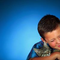 Come prendersi cura di gattini per bambini