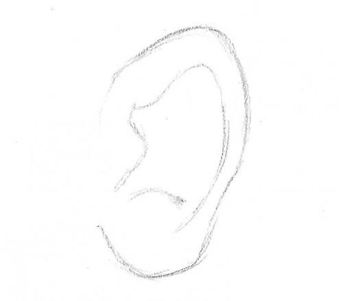 Come disegnare le orecchie a punta