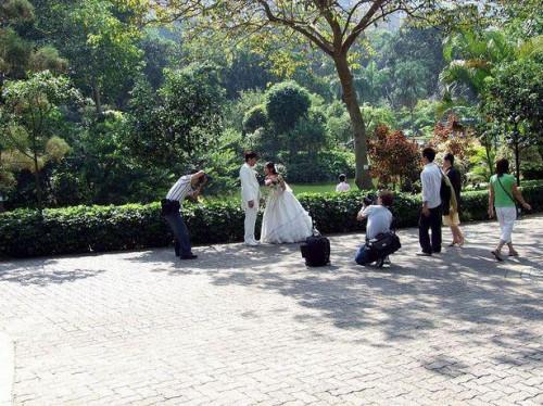 Come sposarsi in un parco