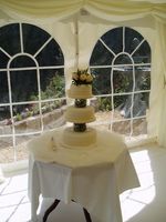 Castello di favola Wedding Cake Toppers che si illuminano