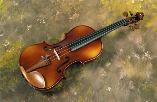Come prendersi cura di un violino