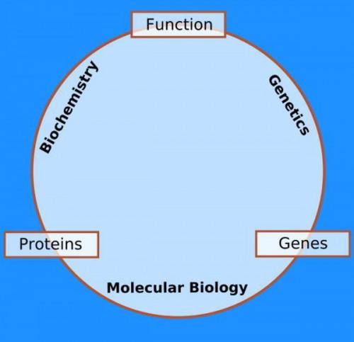 Introduzione alla biologia molecolare