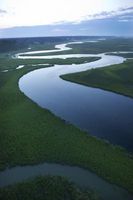 Quali sono i fiumi più ampia del mondo?