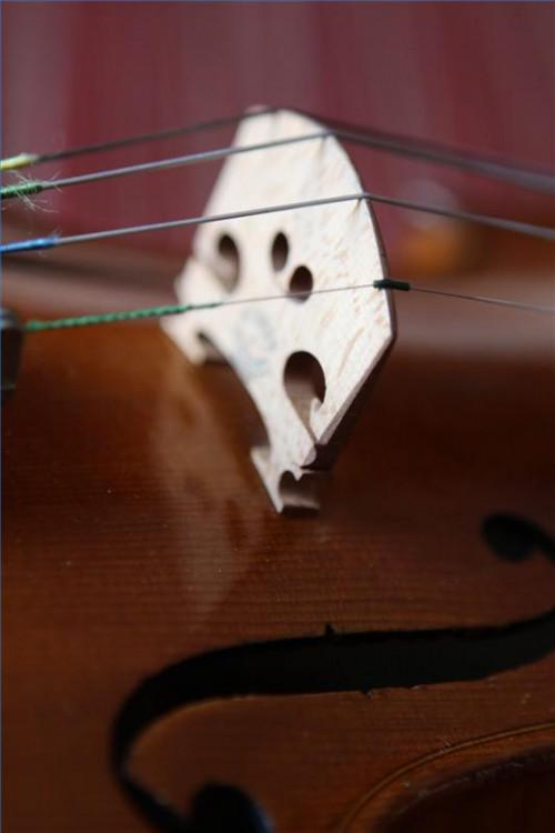 Quali pezzi di ricambio si può ottenere per un violino?